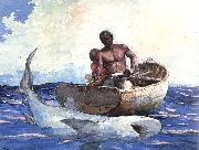 Shark Fishing Winslow Homer